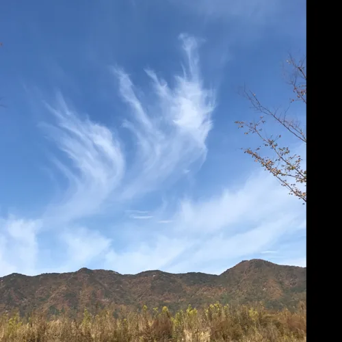 양산아지매