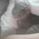 은쬬맘