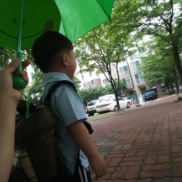 마이씨