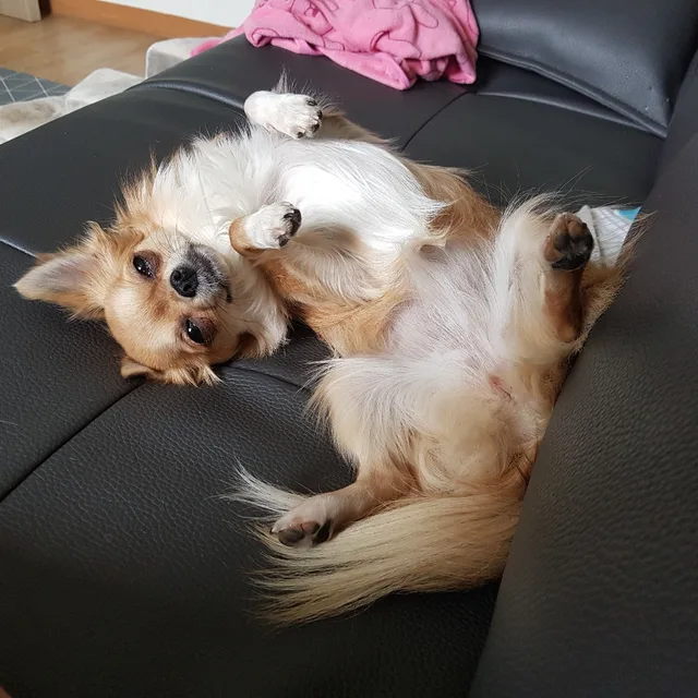 랄지