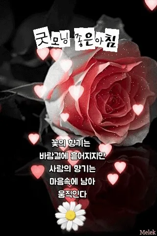 긍정