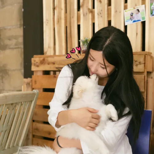 꼬미네