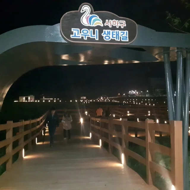 구름속의달빛