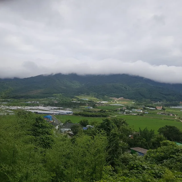 너구리48