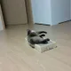 후추