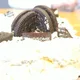 브라더
