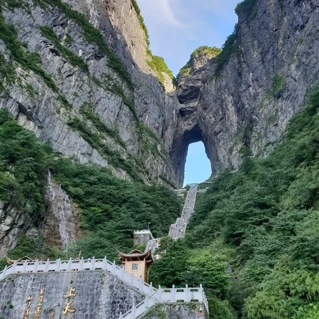 모닝투어임실장