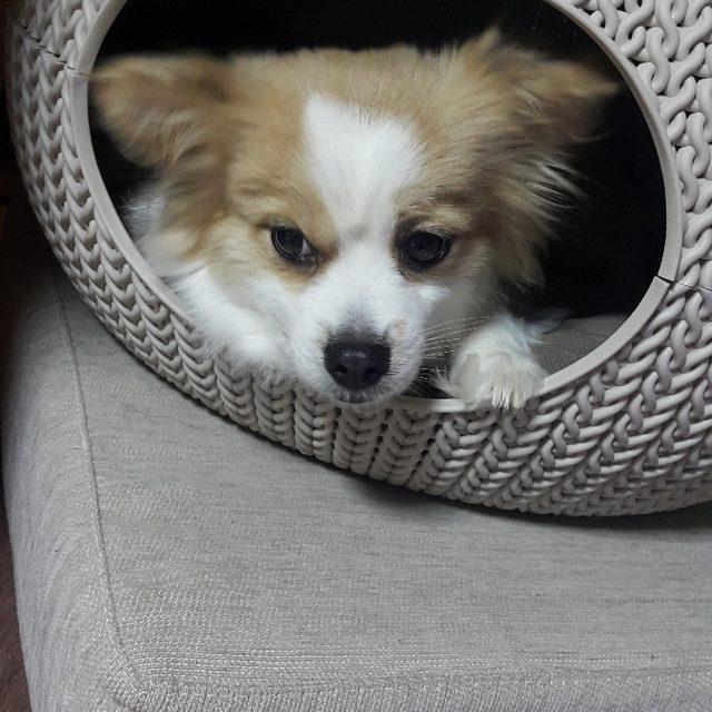 쪼앤
