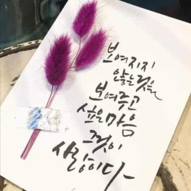 도토리알