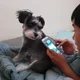 달달봉