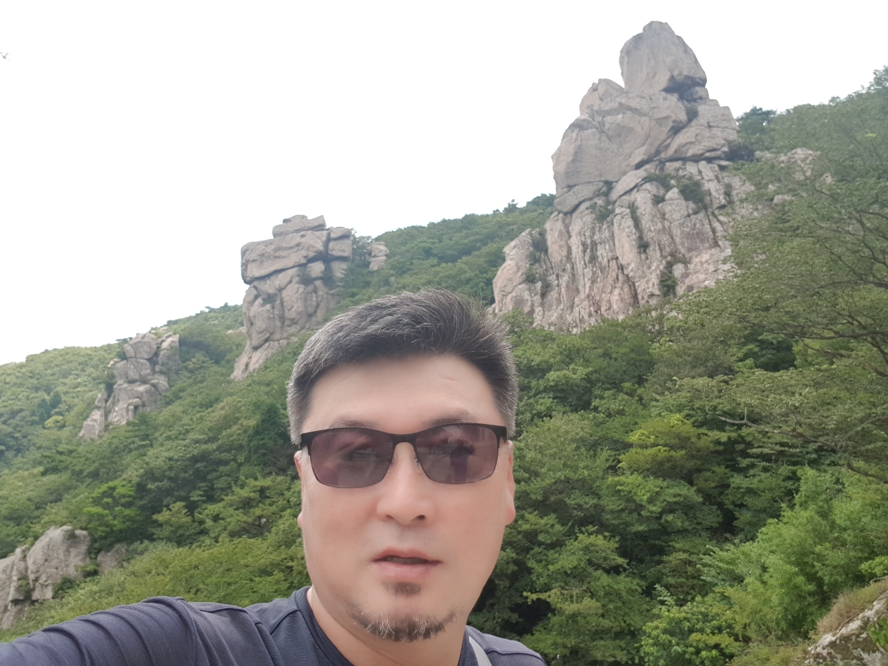 나무