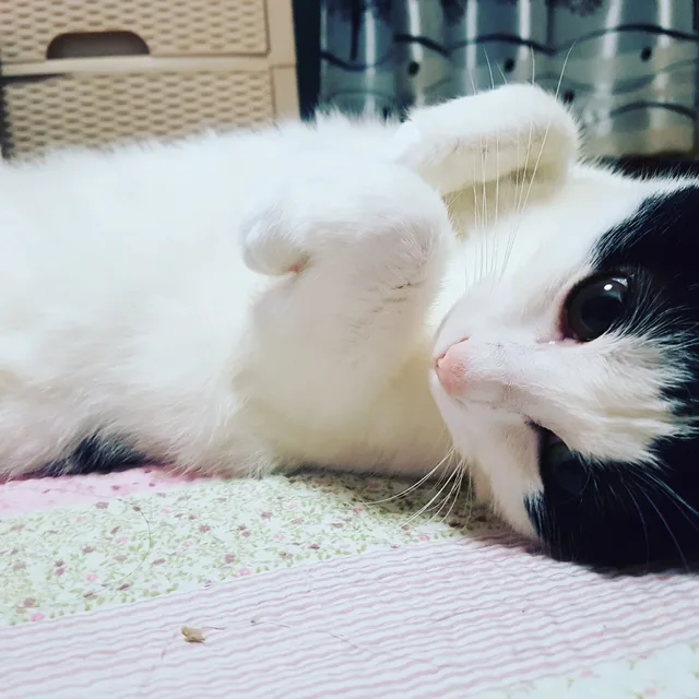 행복이