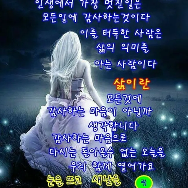 느티나무