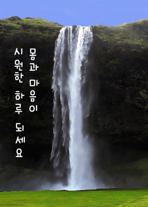 쿨거래