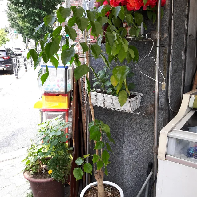 스위트홈