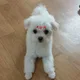 봄이