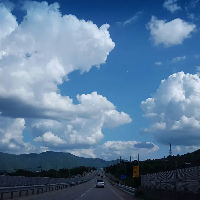 코코리333