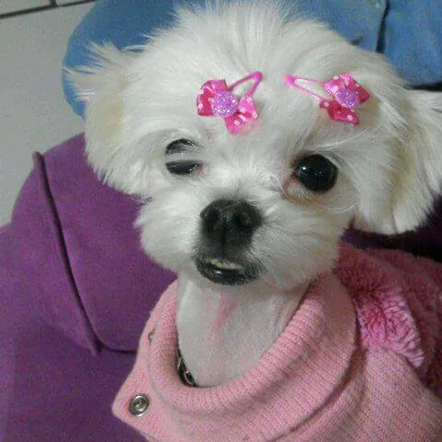 쟤시켜알바