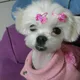 쟤시켜알바