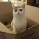 이오리