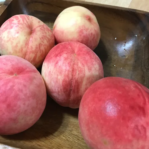 잘죄