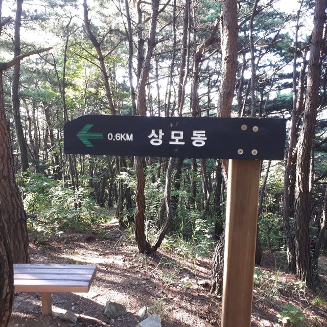 MTB