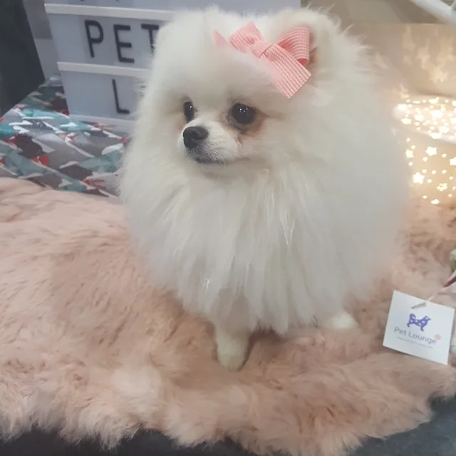 미나