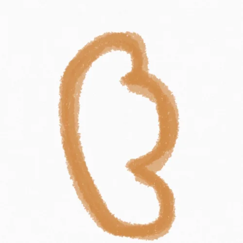 누리