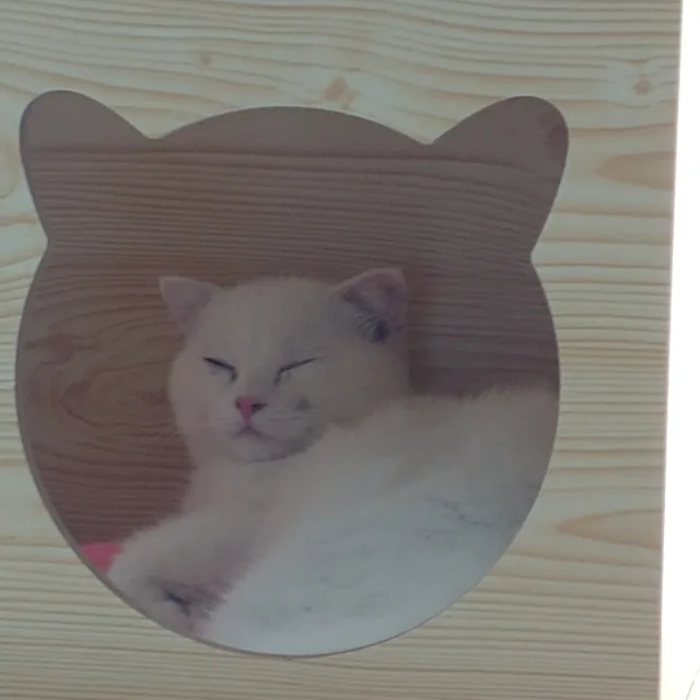 멍이