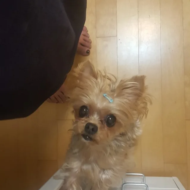 쿵쿵이맘