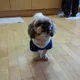 구릉구릉