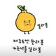바야바