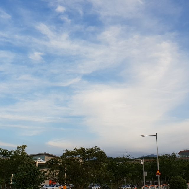 당근사랑2