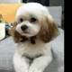 솔이맘