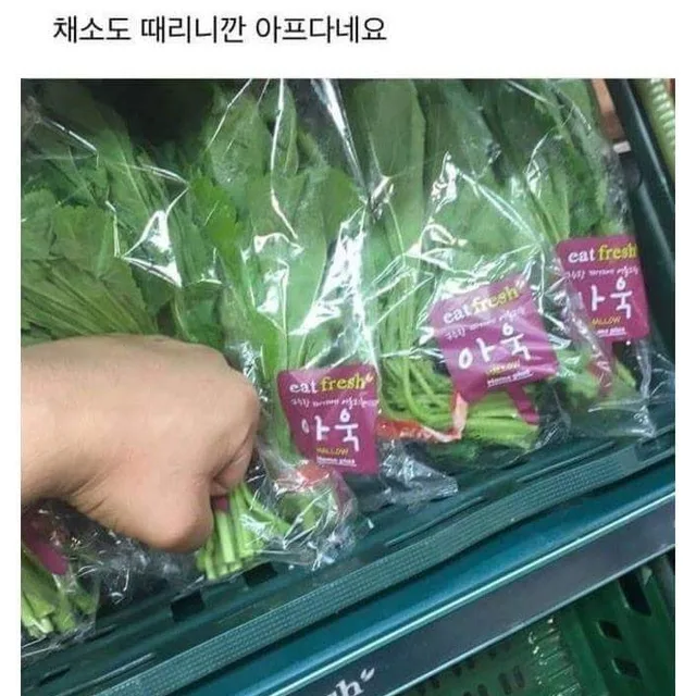 잉크레