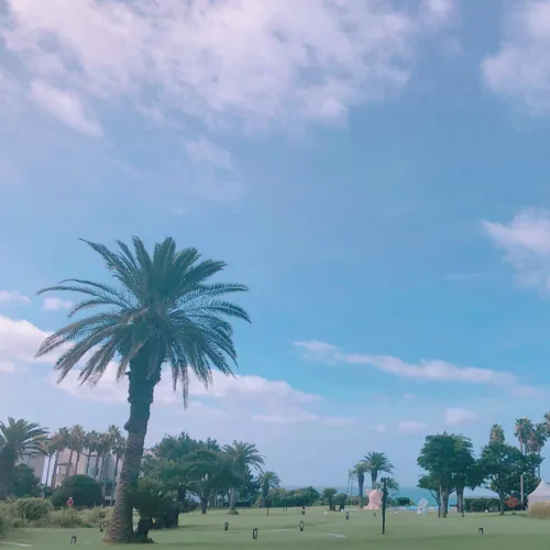 제이크