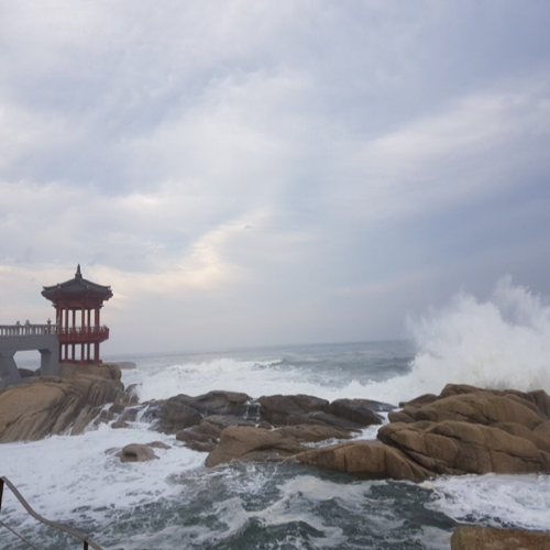 옥정맘