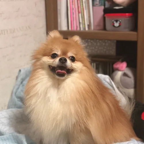 달달