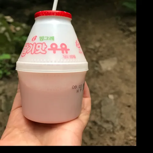 봄날에