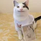 냐냐냥