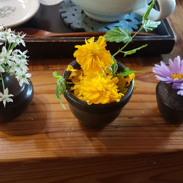 정미니