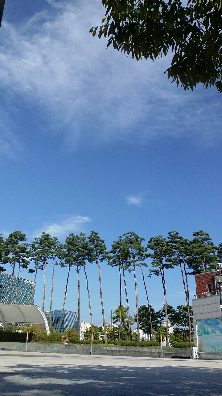 오렌지상큼