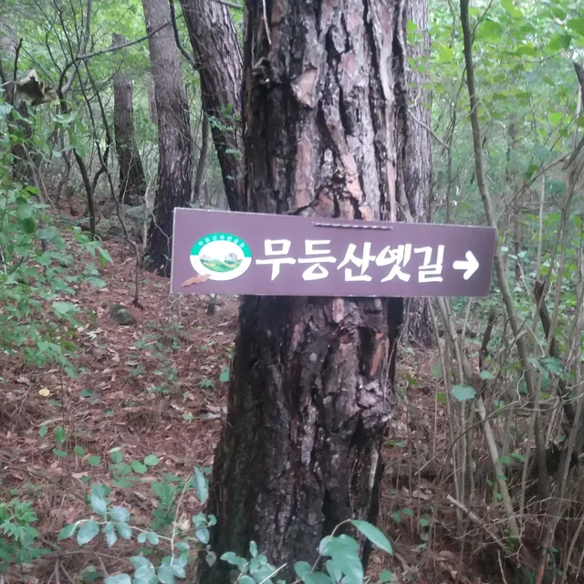 산으로