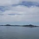 노여사
