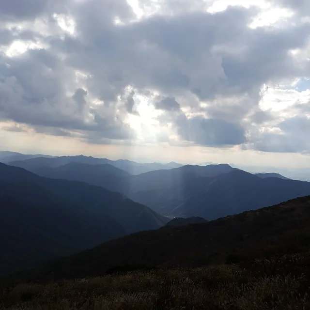 당근을믿어요