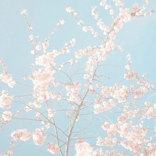 기쁨