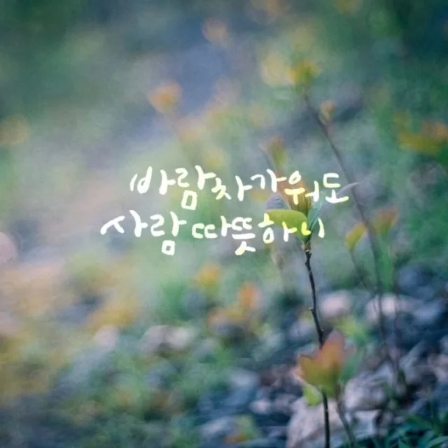 똑순이