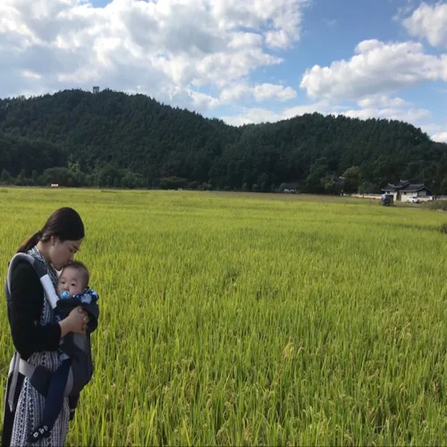 조이조이
