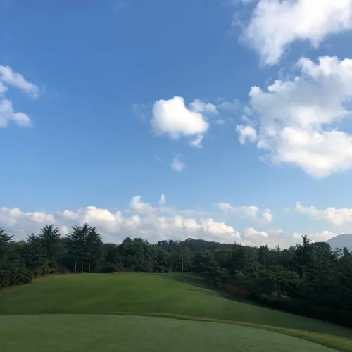도도