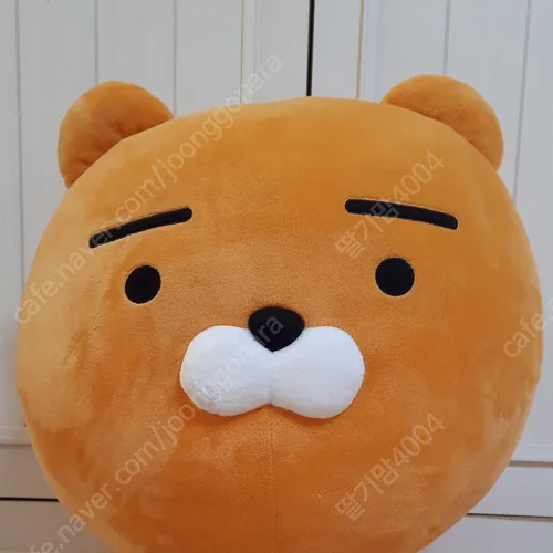 자메뷰